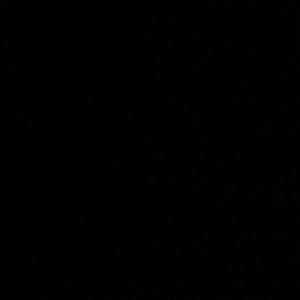 Meet your Posher, Dominique